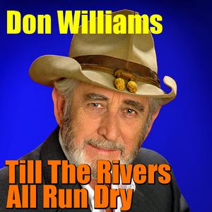 Till The Rivers All Run Dry (Karaoke) （原版立体声）