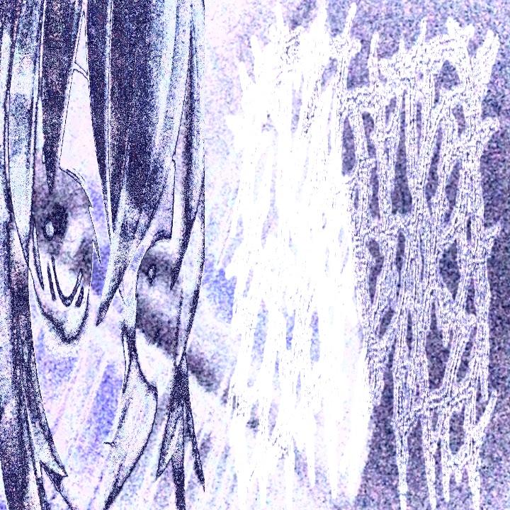 VEXTRENMENT