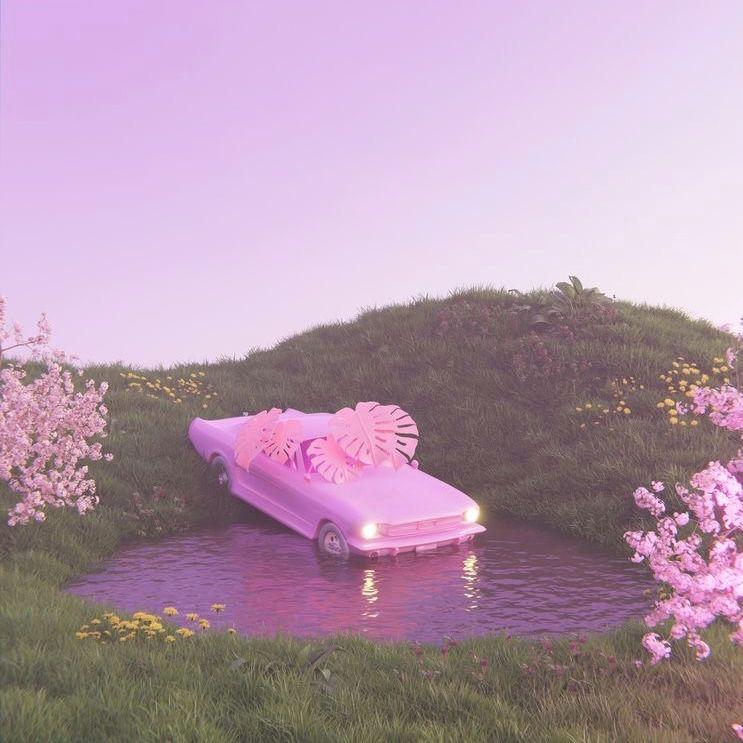 不要浪费我的爱