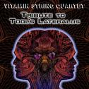 Vitamin String Quartet Tribute to Tool's Lateralus专辑