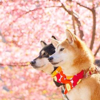 终有一次遇见，能让你刻骨铭心