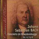 Concierto Brandenburgo No. 6 in B Flat, BWV 1051: II. Adagio ma non tanto
