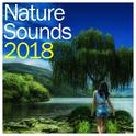 #15 Rain Sounds of Nature - Calming, Natural Ambient Sounds专辑