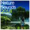 #15 Rain Sounds of Nature - Calming, Natural Ambient Sounds专辑