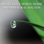 15 Meditative White Noise and Binaural Sounds专辑