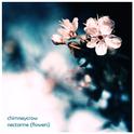 nectarine (flower)专辑