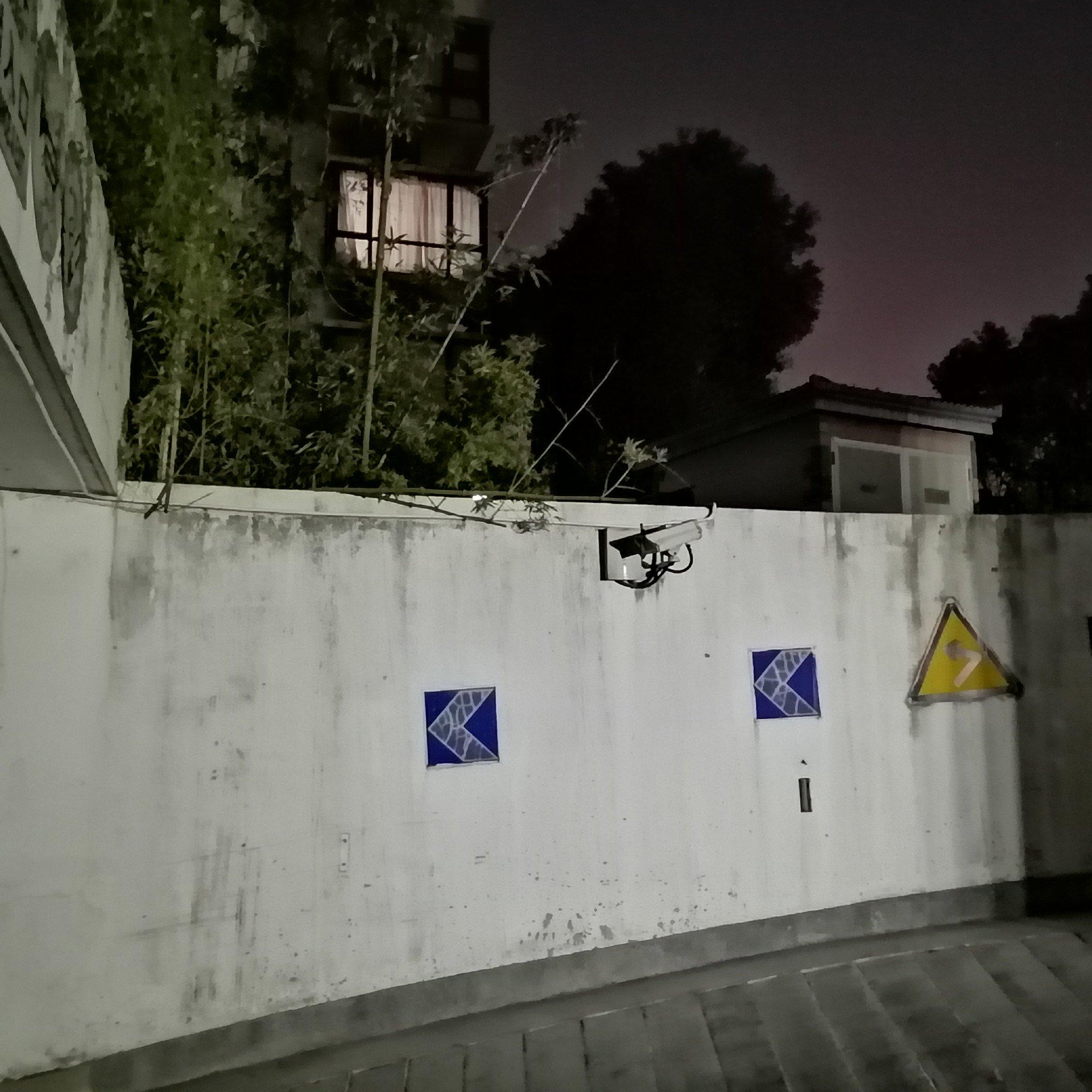 花、太阳、彩虹、你