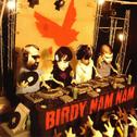 Birdy Nam Nam专辑