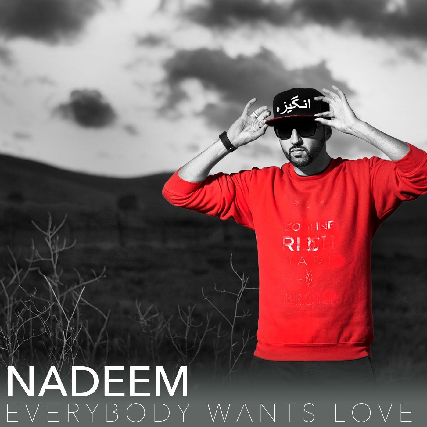 Everybody Wants Love