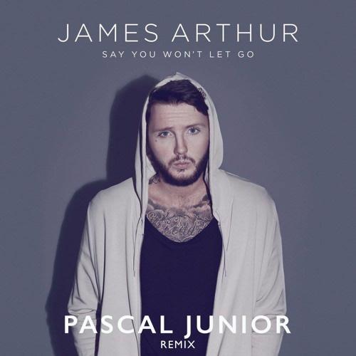 Say You Won't Let Go (Pascal Junior Remix)