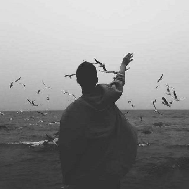 也只是怕错过（抖音版）