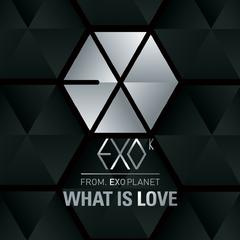 What Is Love (Chinese Ver.)