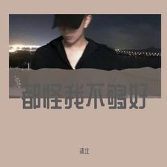 都怪我不够好（翻自 治音）