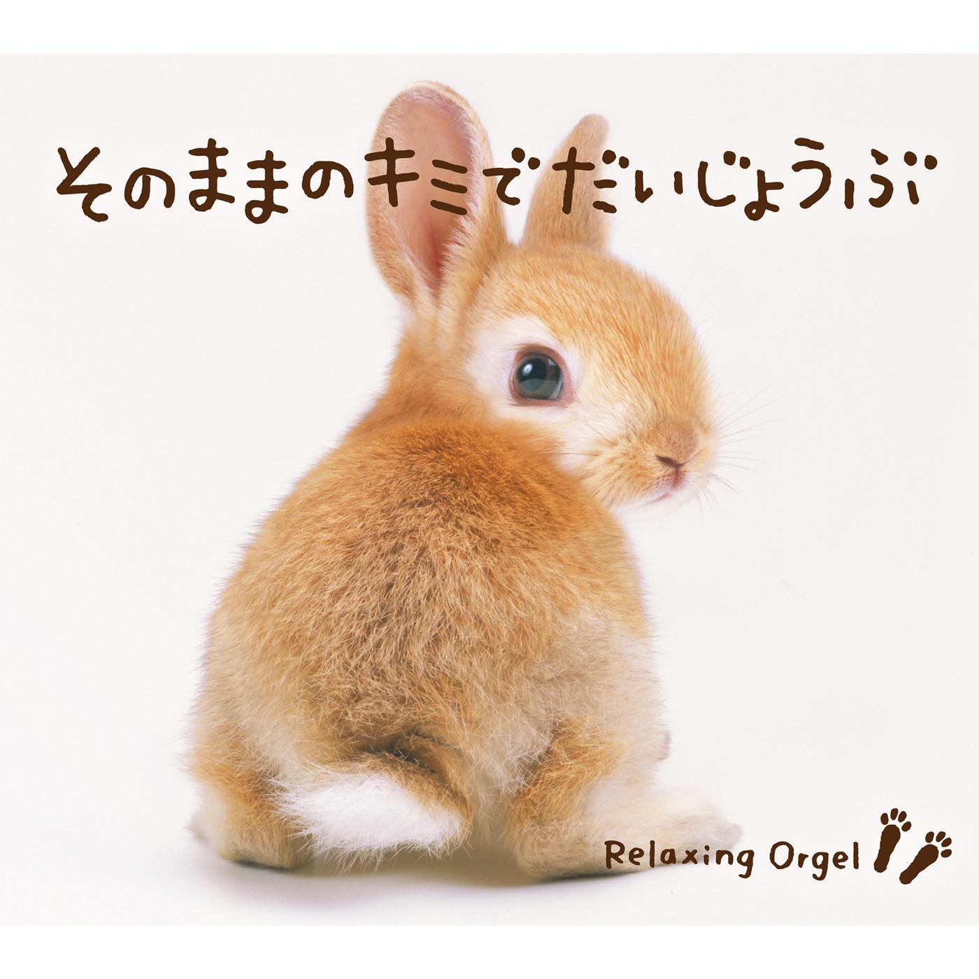 α波オルゴール～そのままのキミでだいじょうぶ