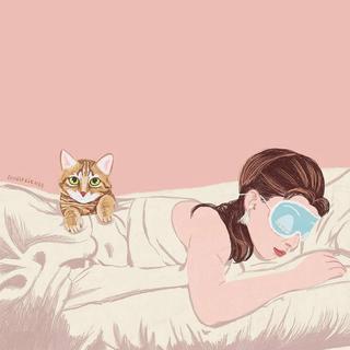 就养一只猫吧，你喜欢猫，我喜欢你