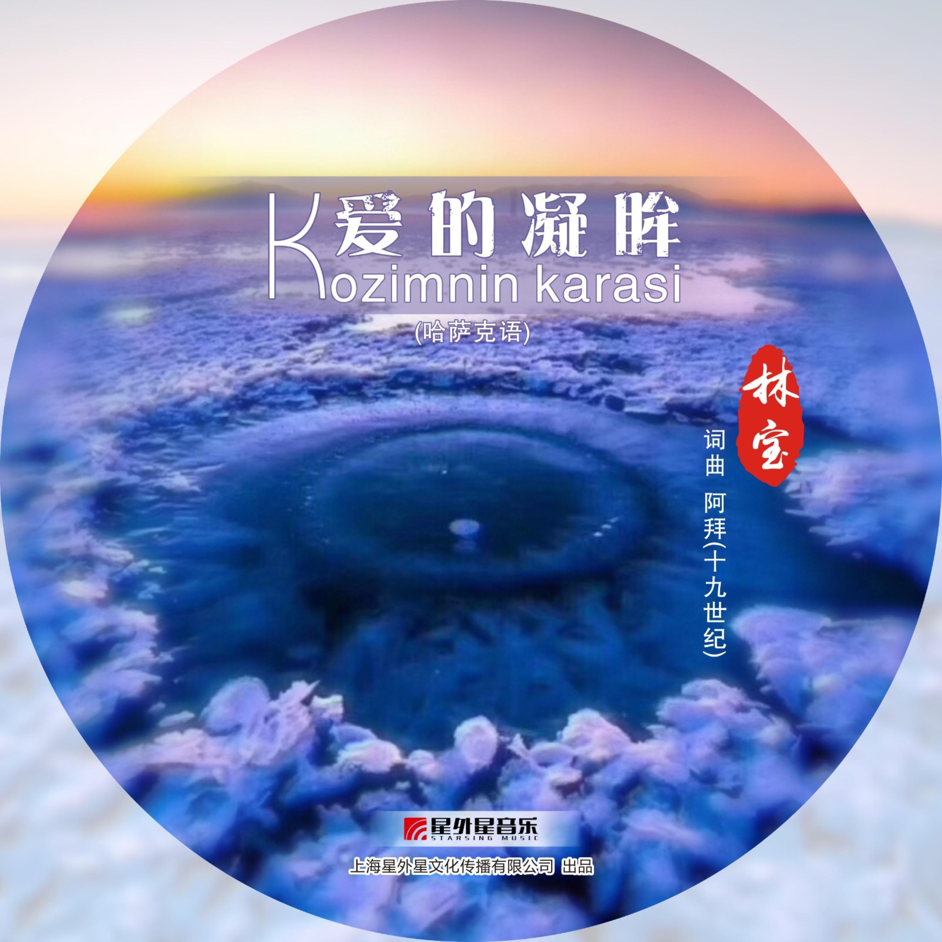 爱的凝眸Kozimnin karasi