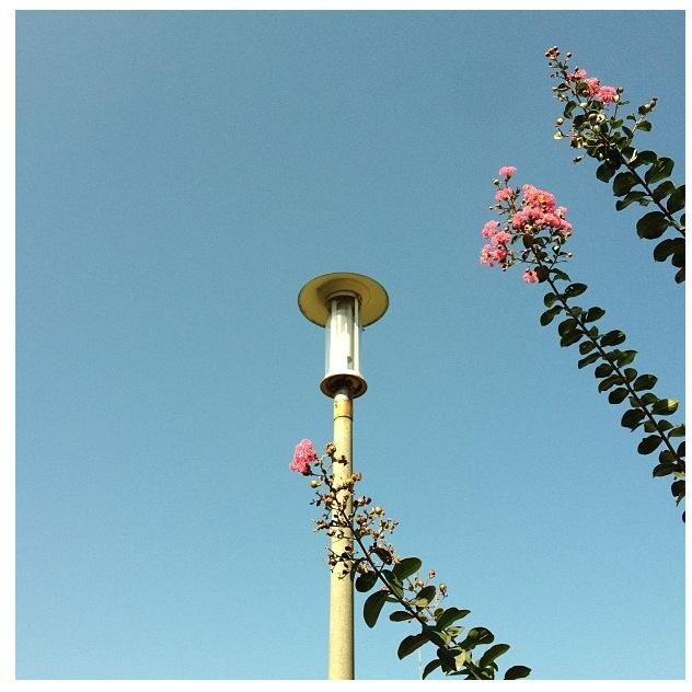 mid-Mar. EP
