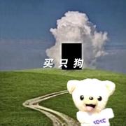 买只狗૮₍ ˃̵͈᷄ ᎔ ˂̵͈᷅ ₎ა