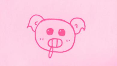 PINK PIG