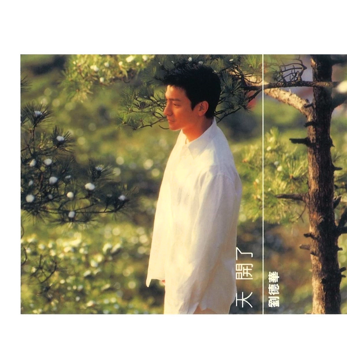 刘德华歌曲封面