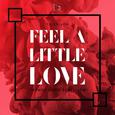 Feel a Little Love