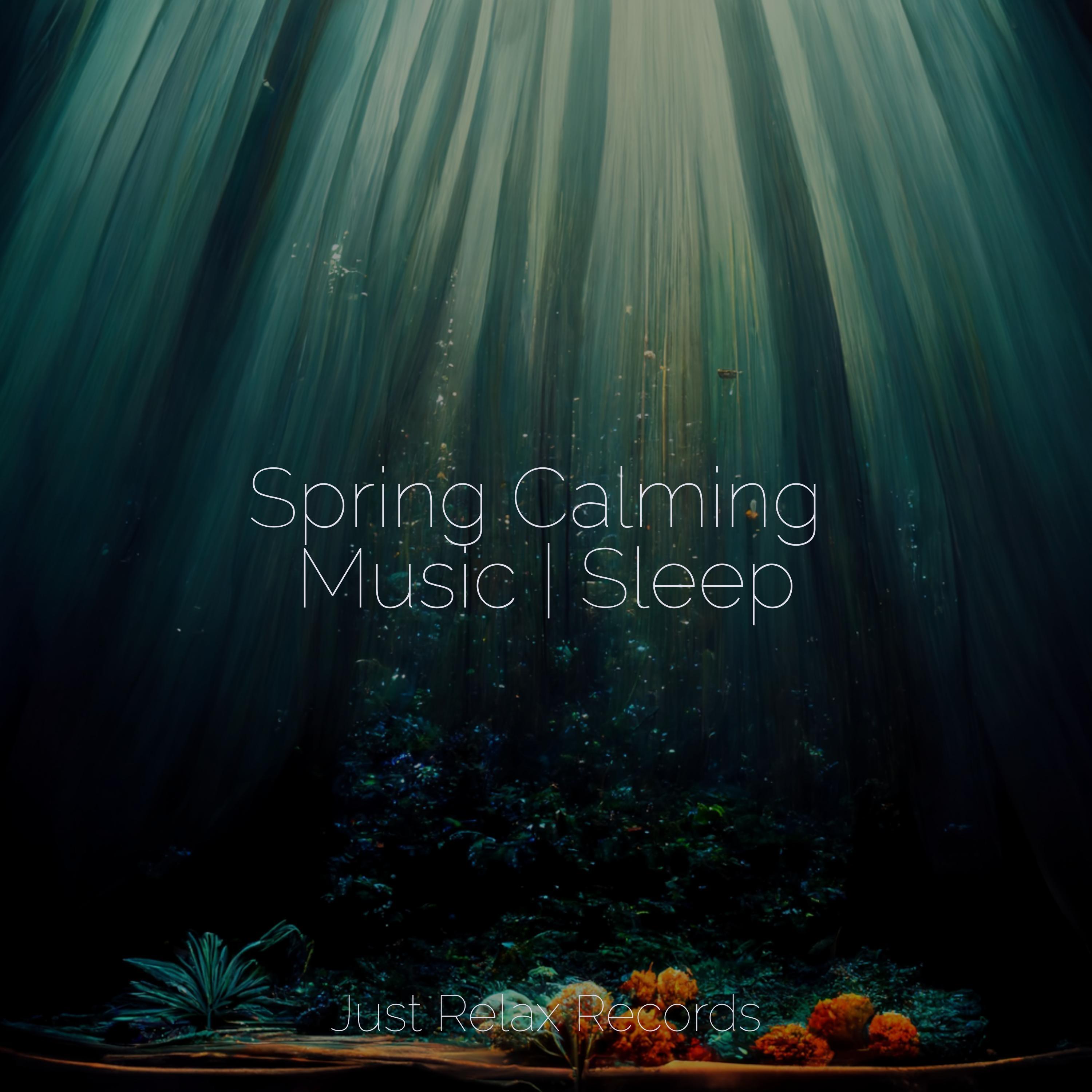 Gleeful Tranquility - Relaxamento/Instrumental/Calming Sounds - 单曲 - 网易云音乐