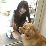 会打呼噜的月亮专辑