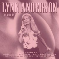 Rose Garden - Lynn Anderson(0002) (unofficial Instrumental)