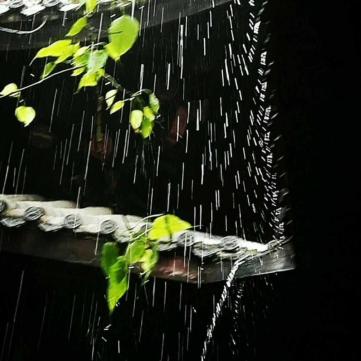 清明雨