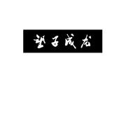 望子成龙Mixtape
