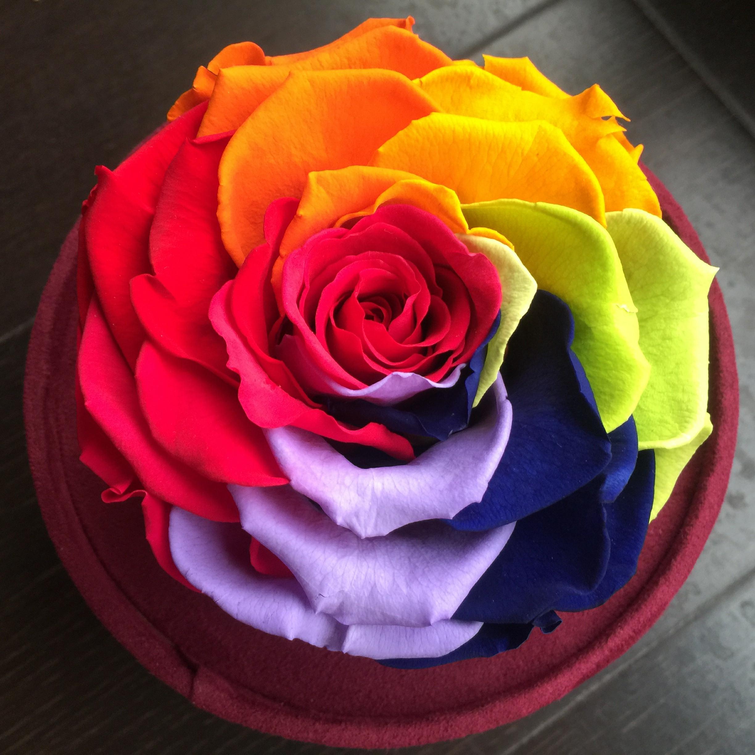 Top100djs 2016  VOL:01 EDM