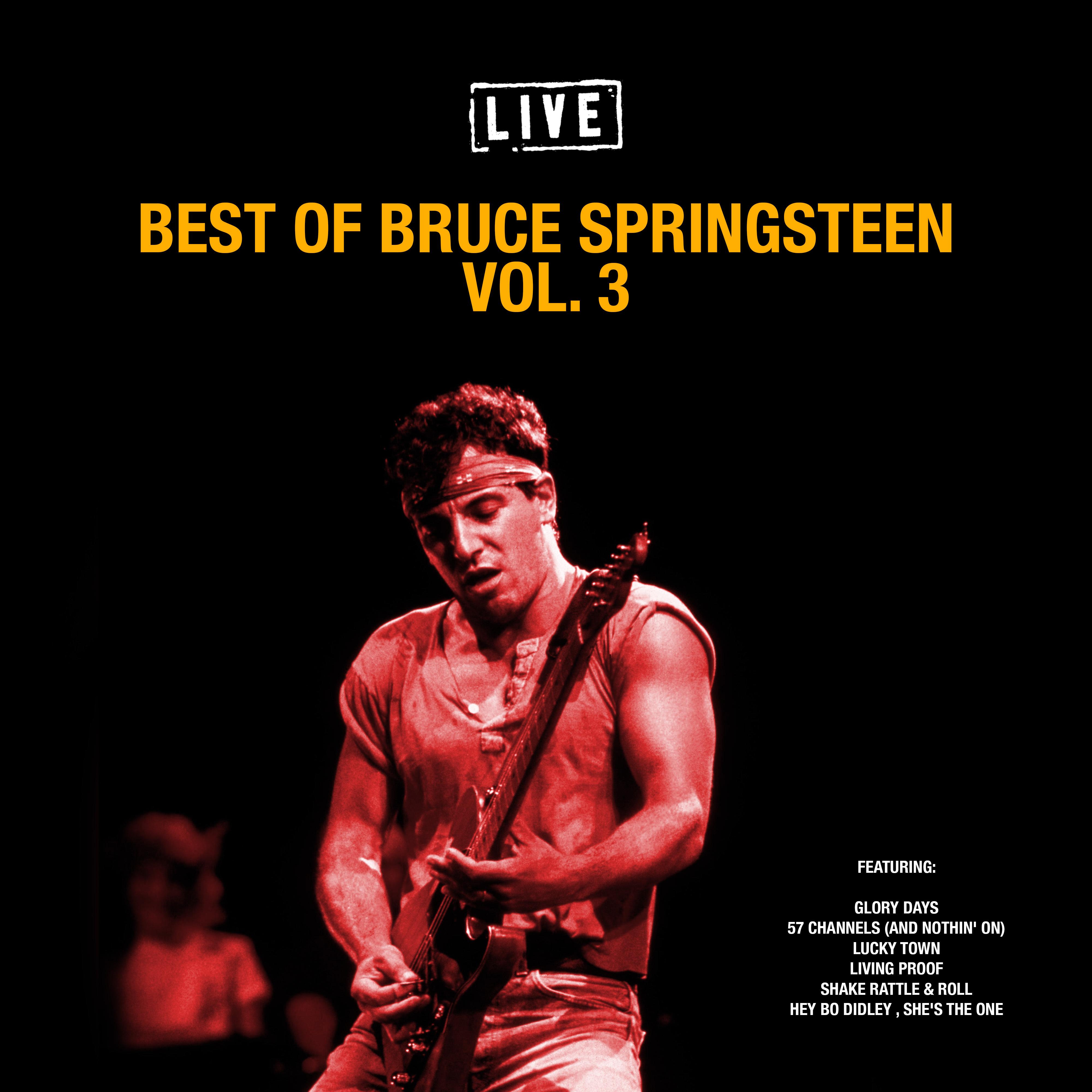 Best of Bruce Springsteen Vol. 3 (Live)