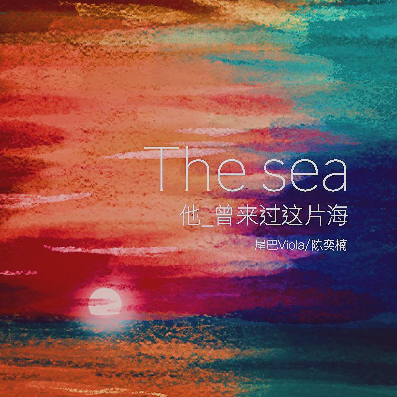 他曾来过这片海