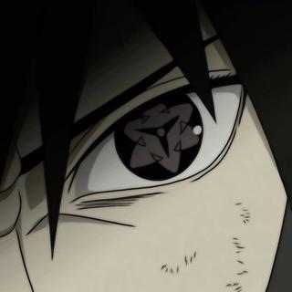 会长和他的小伙伴.