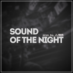 Sound Of The Night