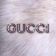 Gucci Gucci