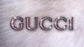 Gucci Gucci专辑