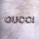 Gucci Gucci专辑