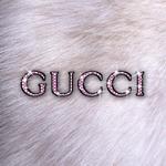 Gucci Gucci专辑