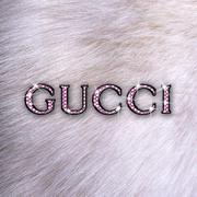 Gucci Gucci