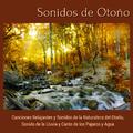 Sonidos de Otoño - Canciones Relajantes y Sonidos de la Naturaleza del Otoño, Sonido de la Lluvia y 