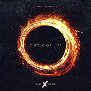 Circle of Life（轻柔版）