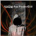 Aiming For Perfection专辑