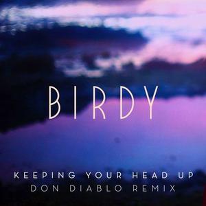 Keeping Your Head Up - Birdy (HT karaoke) 带和声伴奏 （降2半音）