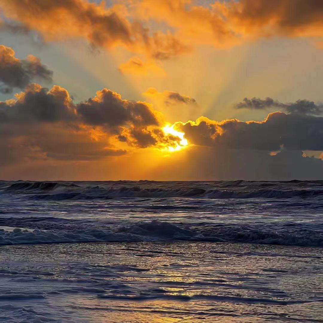 生而陌路（Born a Stranger ）