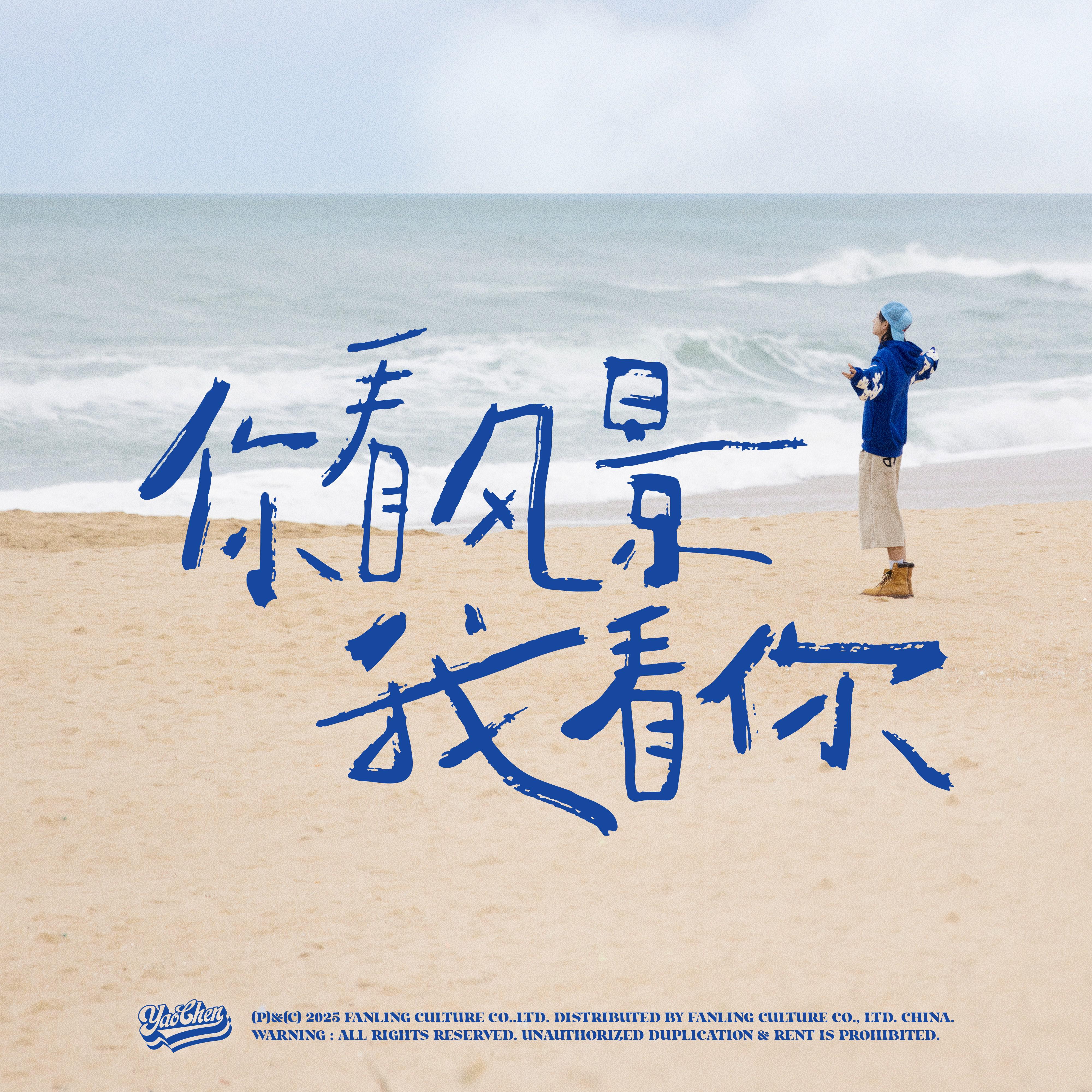 你看风景我看你专辑