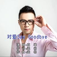 王峰 - 对爱Say Goodbye