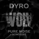 Pure Noise (Intro Edit)专辑