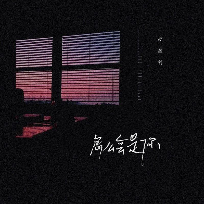 怎么会是你（DJAh版）