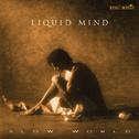 Liquid Mind II: Slow World专辑